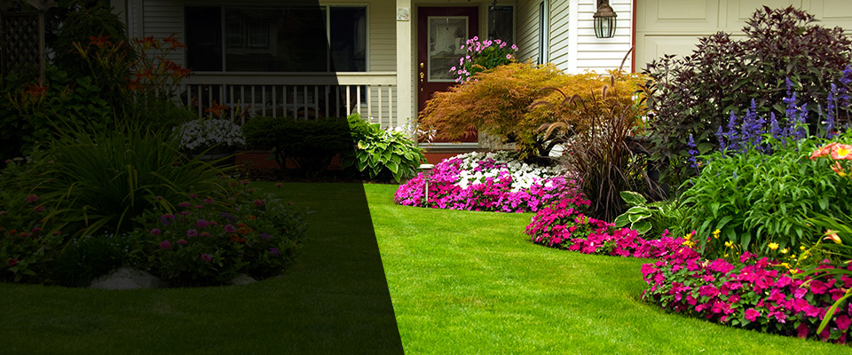 Marana Landscapers