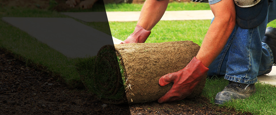 Marana Landscapers
